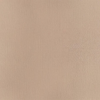 Leather sample, tanned bull hide, vertical grain texture, neutral beige and brown tones, matte finish, studio lighting.